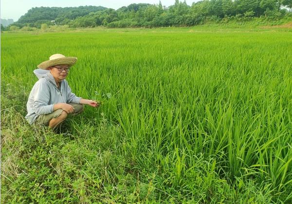 年入200余萬元！看80后IT高管如何靠惠農網跨界生財